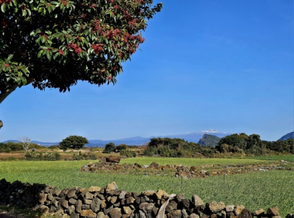 흰 눈을 이고 있는 한라산이 보이는 풍경. 제주의 삶은 해외여행이 멎었던 시기에도 내게 큰 위안이 됐다.