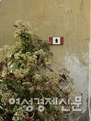 프란체스제냐 순례길 표식 /사진=박재희