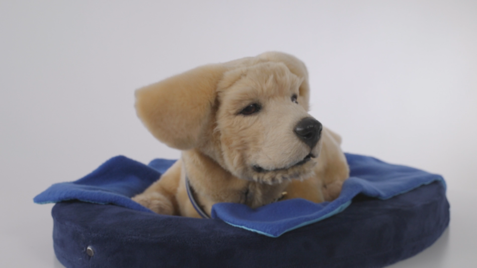 미국 기업 톰봇(Tombot)이 개발한 골든 리트리버와 닮은 AI 반려 로봇 '제니(Jennie)' /Tombot