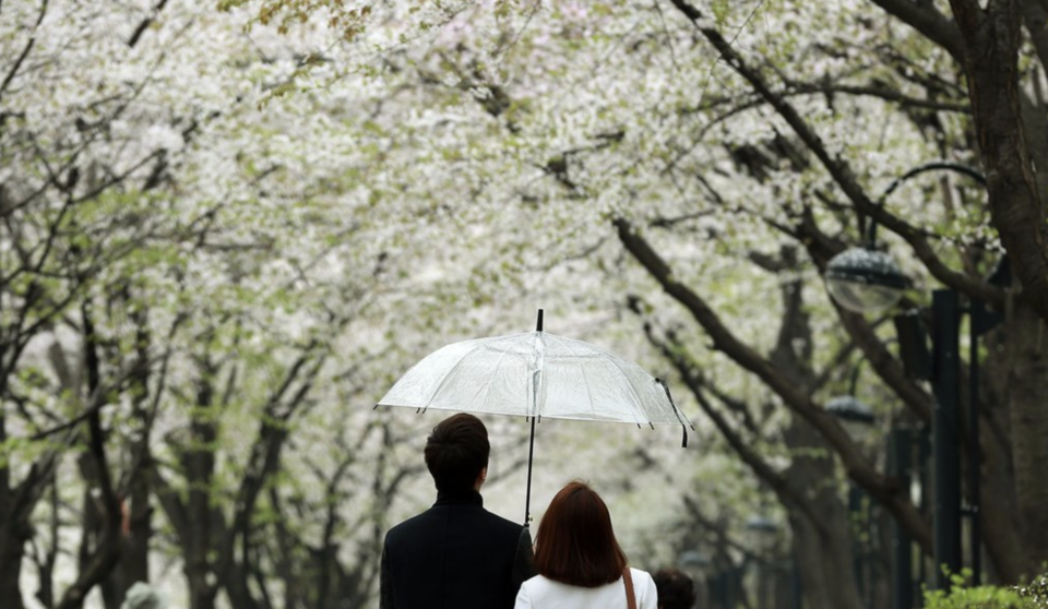 한때 사회적 논란으로 주춤했던 역할 대행 서비스는 최근 몇 년 새 청년층에서 폭발적인 인기를 얻고 있다. 애인, 친구, 하객 등 특정 역할을 대신 수행하는 이 서비스는 외로움을 해소하려는 욕구를 반영한다. /연합뉴스