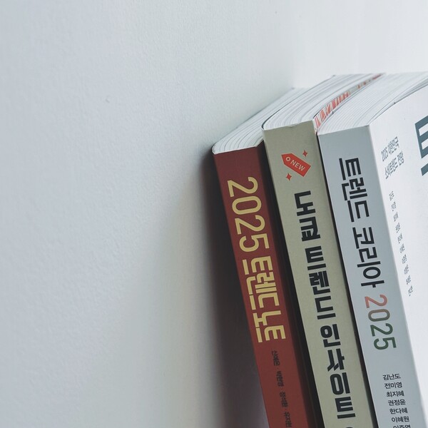 필자가 선정한 올해 읽어볼 만한 트렌드 책 세 권. 왼쪽부터 <2025 트렌드 노트> <도쿄 트렌드 인사이트 2025> <트렌드 코리아 2025> / 권혁주