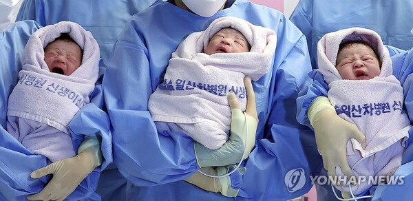 2025년 을사년(乙巳年) 새해 첫날인 1일 오전 경기도 고양시 일산차병원에서 태어난 아기들 /연합뉴스