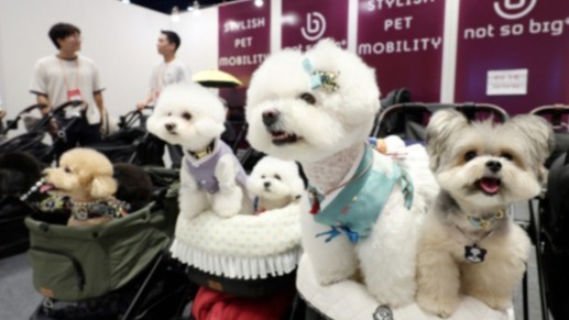 출산·육아 대신 반려동물을 키우는 이들이 늘고 있다. /연합뉴스