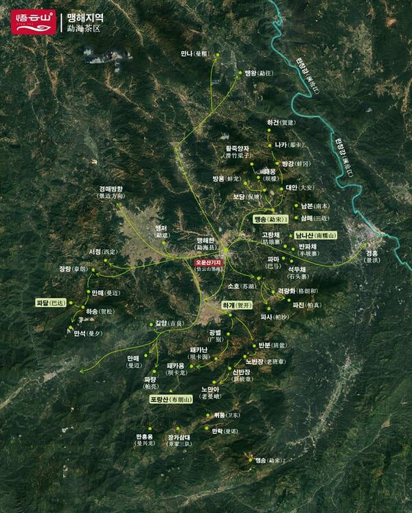 신 육대차산 맹해 차구, 보이차의 르네상스는 맹해 차구의 노반장에서 시작되었다고 할 수 있다. 청나라 공차로 대접받던 보이차는 잊혔다가 노반장 고수차에 자본이 들어오면서 주목을 받게 되었다. /출처=오운산