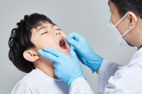 만 6세 경에 영구치 어금니가 나기 시작하기 때문에 이 시기는 충치 예방에 각별히 신경을 써야 할 때입니다. /게티이미지뱅크