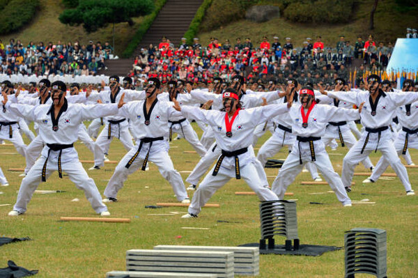 한국은 이제 중견 강국이다. 국제사회에서 자신의 목소리를 내는 당당한 자세를 가져야 할 때다. /픽사베이