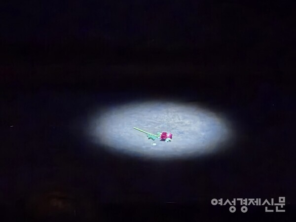 무덤 앞에 바쳐진 마지막 꽃 한 송이 /박종섭