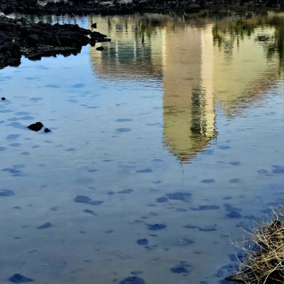 고인 물에 비친 건물의 반영 /한익종