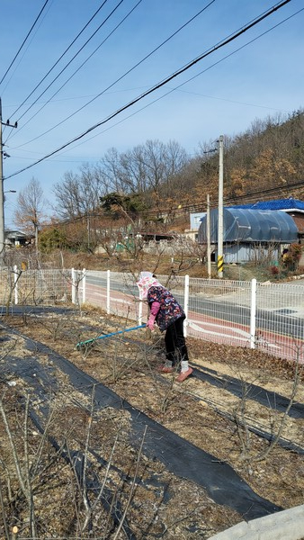 동생이 마당 설거지를 하고 있다. /사진=송미옥