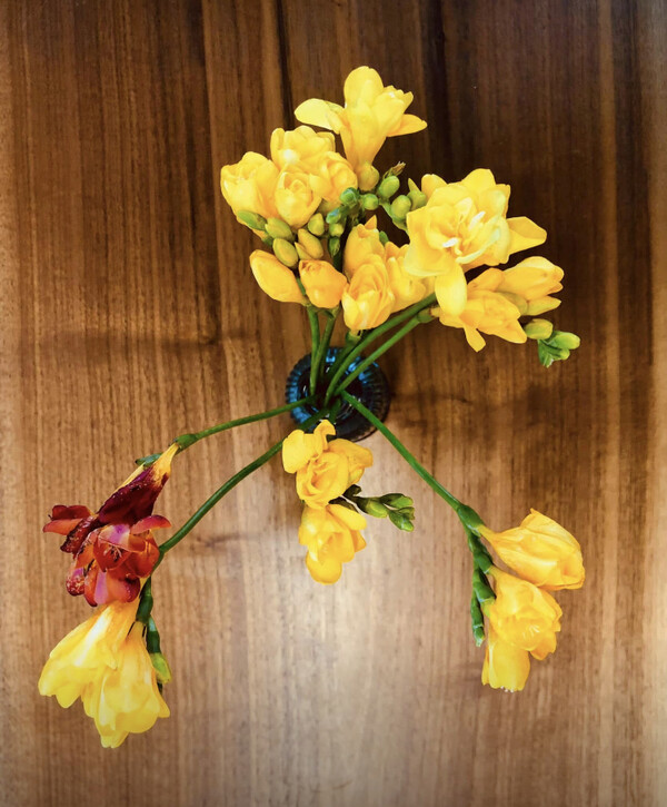 하나의 꽃을 시시각각으로 바라보면 모두 다르게 빛이 난다는 것을 발견한 기쁨이 꽤 큽니다. 내가 잘 아는 사람이라 할지라도 다른 시각으로 보면 다르게 빛이 나는 걸 이제야 겨우 깨달은 걸까요? /사진=최익준