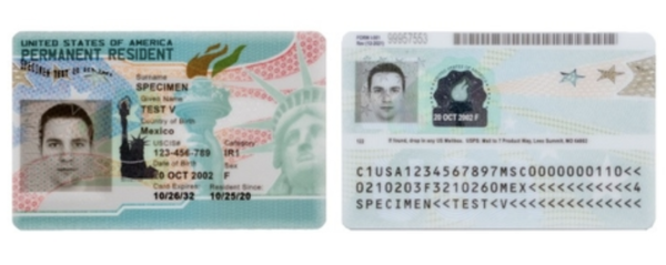 그린카드 샘플 /미국 이민국=연합뉴스