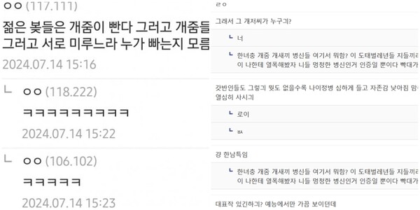 디시인사이드 여초 갤러리에 나오는 혐오 표현 /디시인사이드