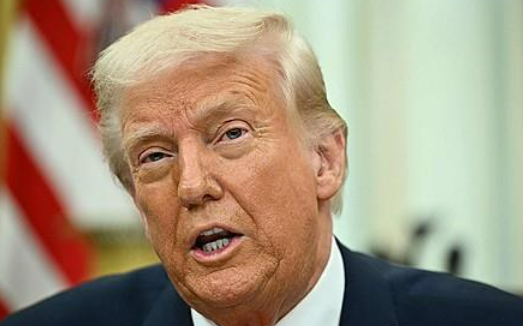 도널드 트럼프 미국 대통령이 캐나다에 대한 25% 관세 유예를 발표한 지 하루 만에 캐나다산 목재와 유제품에 대한 추가 관세를 경고했다. /연합뉴스