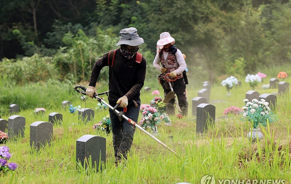 좋은 터, 명당일수록 관리가 필요하다. /연합뉴스