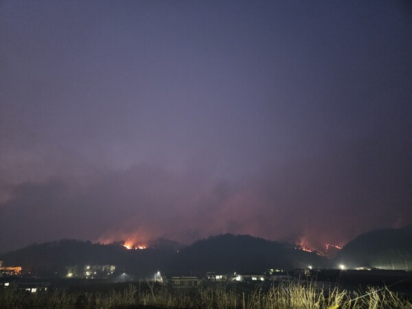 지난 22일부터 이틀간 경남 산청과 경북 의성, 울산 울주 등에서 대형 산불이 잇따라 발생했다. /연합뉴스