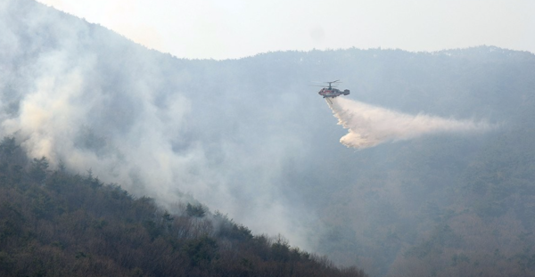 24일 경남 산청군 단성면 일대 산불을 헬기가 진화하고 있다. /연합뉴스
