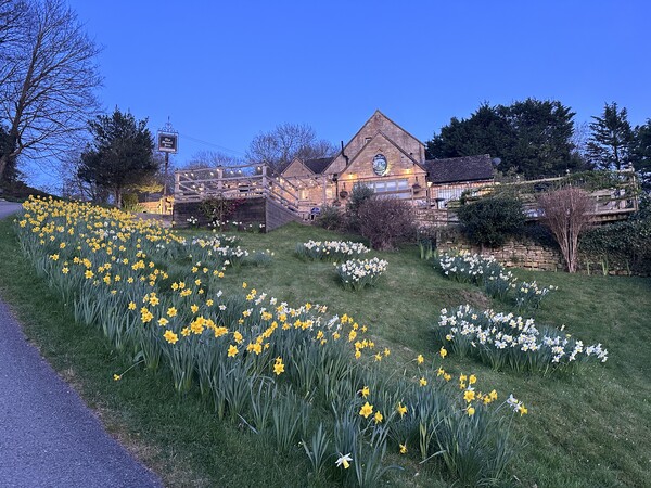 수선화가 가득한 스탠톤 마을 /박재희