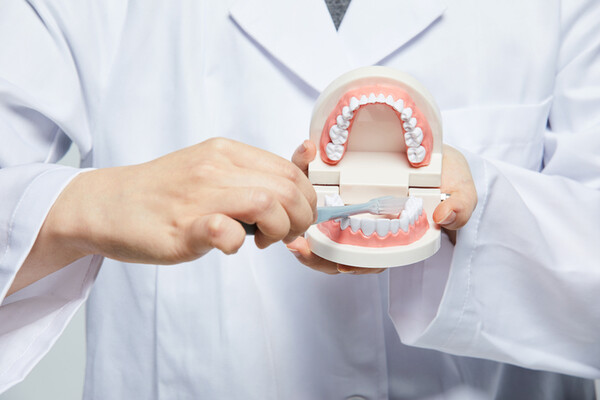 치약을 사용하지 않고 칫솔질만 제대로 해도 치석과 치태를 깨끗이 제거하는 데 무리가 없이 구강건강을 유지할 수 있다고 말할 수 있을 정도로 칫솔질은 구강건강에 중요하다. /게티이미지뱅크