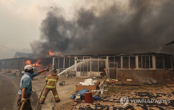 경북 의성군 산불 발생 나흘째인 25일 의성군 단촌면 하화1리에 산불 불씨로 인한 화재가 발생한 가운데 소방대원이 불을 끄고 있다. /연합뉴스
