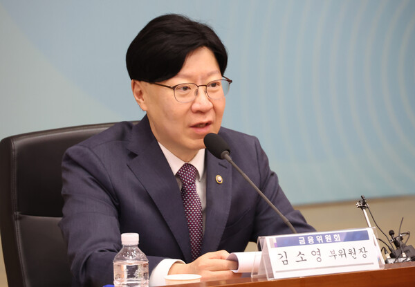 김소영 금융위원회 부위원장이 지난 11일 보험개혁회의에서 발언하고 있다. /연합뉴스
