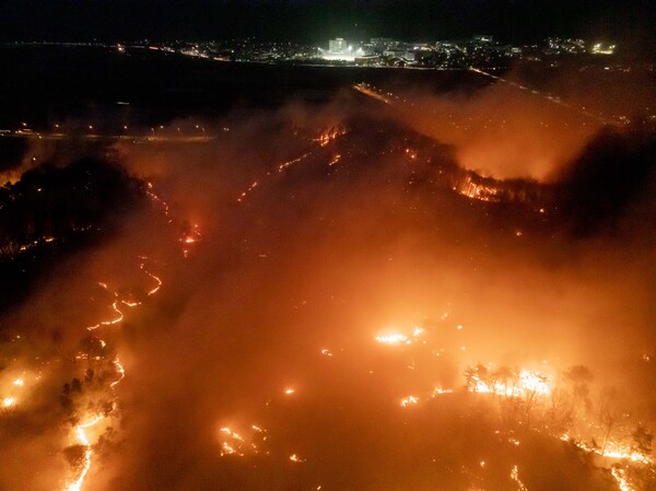 25일 경북 안동시 남선면 인근 야산으로 불이 번지고 있다. /연합뉴스