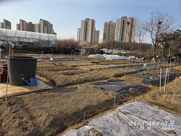 분양을 마치고 식재를 기다리는 텃밭. /박종섭