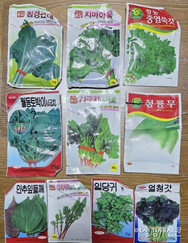 텃밭에 심을 채소 씨앗을 점검했다. /박종섭