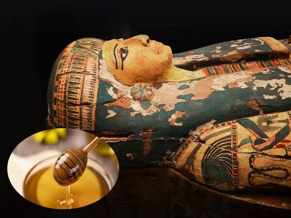 방부제 역할을 하는 꿀 /픽사베이