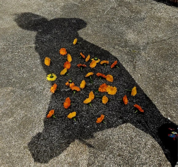 아내에게 해 준 그림자 꽃 프린팅 치마 /사진=한익종