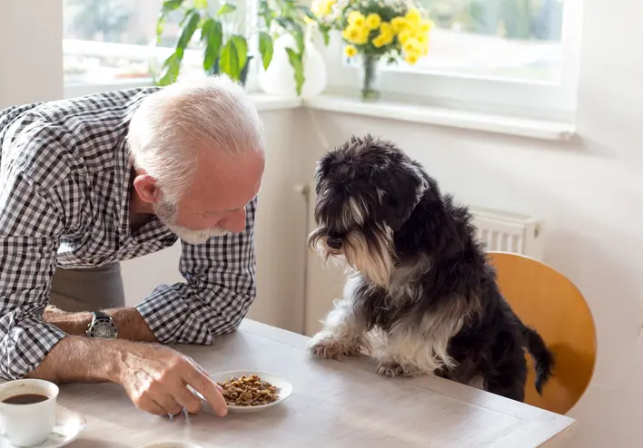 미혼 노인이 기혼 노인보다 치매에 덜 걸린다는 연구 결과가 나왔다. /게티이미지뱅크