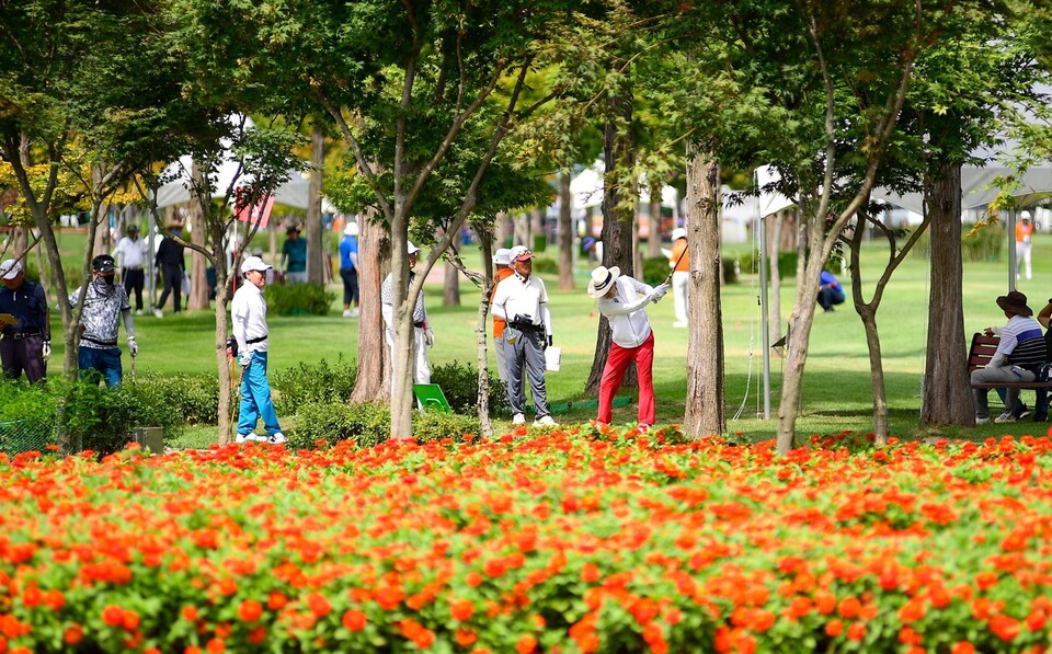 산천어 파크골프 페스티벌 경기 장면 /화천군