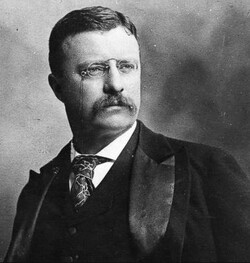 미국의 제26대 대통령 시어도어 루스벨트는 진보 진영의 입장을 대변하며 독점 재벌 규제에 앞장섰다. /연합뉴스