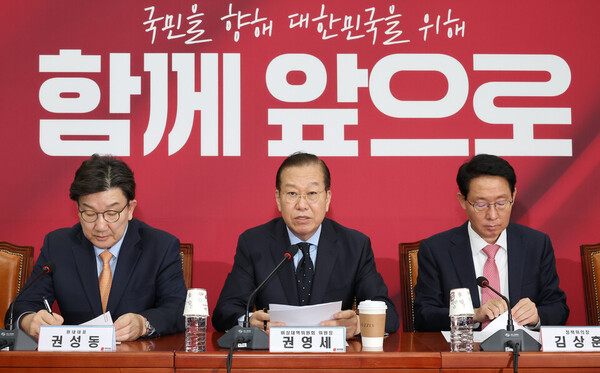  21일 국회에서 열린 비상대책위원 회의에서 권영세 국민의힘 비상대책위원장(가운데)이 발언하고 있다. /연합뉴스