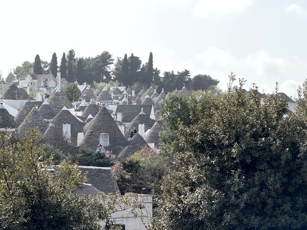 alberobello 2025 /ⓒDouglas JEON