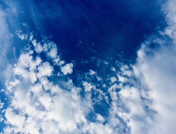 내 생애 처음으로 내가 무엇을 해야 하고 무엇을 하지 말아야 할지의 북극성을 찾게 되어, 실패작이 아닌 내 인생에 감격했습니다. 뜬구름을 좋아한다면 그것이 왜 좋은지 문장으로 써 보라는 선생님의 격려는 내 속에 숨은 나의 재능과 꿈을 끌어낸 마중물이 되었습니다. /사진=최익준