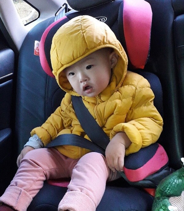 카시트에 적응하는 데에도 서너 달은 걸렸다. /이수미