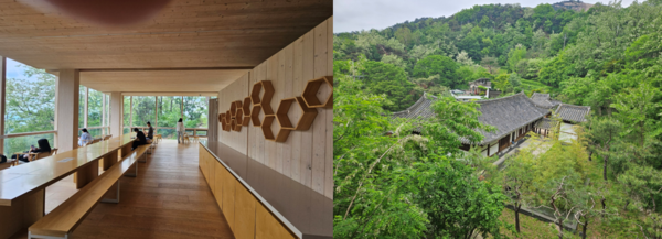 인왕산 숲속쉼터와 청운문학도서관. 자연 속에서 쉼을 얻을 수 있는 공간 두 곳을 발견했다. /사진=김현주