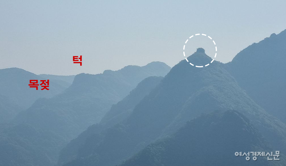 묘 앞산에 누워있는 '거두상'. 원 안은 도장 형태의 옥인(玉印) /백재권