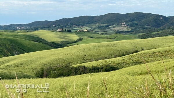 볼테라 언덕에서 보는 토스카나 평원 /사진=박재희
