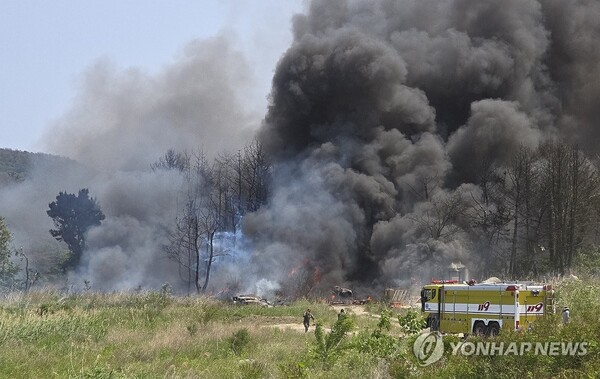 29일 오후 1시 52분께 경북 포항시 남구에서 해군 초계기가 추락해 검은 연기가 치솟고 있다. /연합뉴스