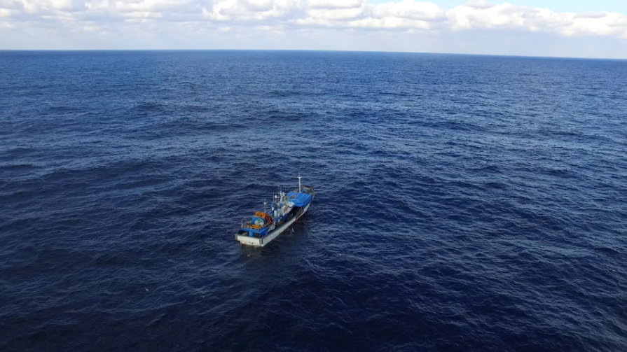 바닷속에는 육상 매장량의 약 800배에 가까운 약 45억t의 우라늄이 존재하는 것으로 추정되고 있다. 유준상 기자