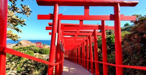 123단의 도리이 /사진=양은심