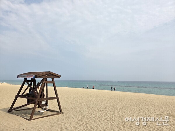 시원한 바다가 보이는 강릉 안목항 앞바다 /박종섭