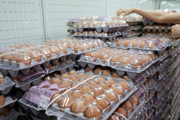 계란 가격이 강세를 이어가는 가운데 서울 서초구 하나로마트 양재점을 찾은 시민이 계란을 살피고 있다. /연합뉴스