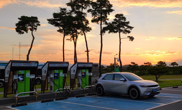 정부가 제2차 추가경정예산안을 통해 전기차 등 친환경차 관련 예산을 5000억원 이상 삭감했다. /연합뉴스