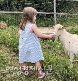 시에나 외곽 캠핑장 /사진=박재희