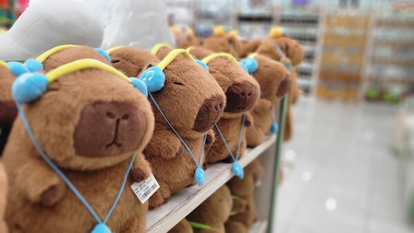 에코리움 기념품 샵의 카피바라 인형  /사진=김성주