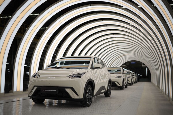 BYD 돌핀 미니 차량 /BYD