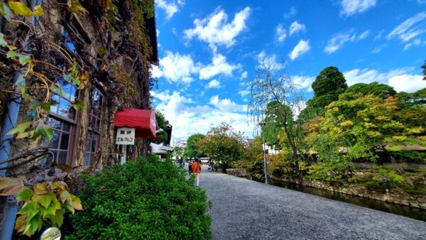 '수태고지'라는 그림을 그린 화가의 이름을 딴 카페 ‘엘 그레코’ /사진=양은심