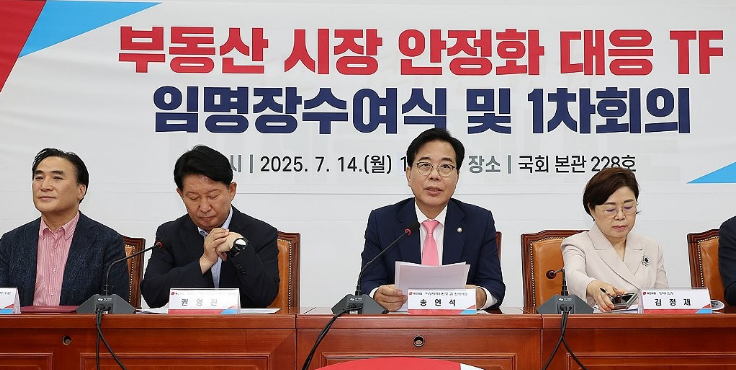 송언석 국민의힘 비상대책위원장 겸 원내대표(가운데)가 14일 국회에서 열린 부동산 시장 안정화 대응 TF 임명장 수여식 및 1차 회의에서 발언하고 있다. /연합뉴스